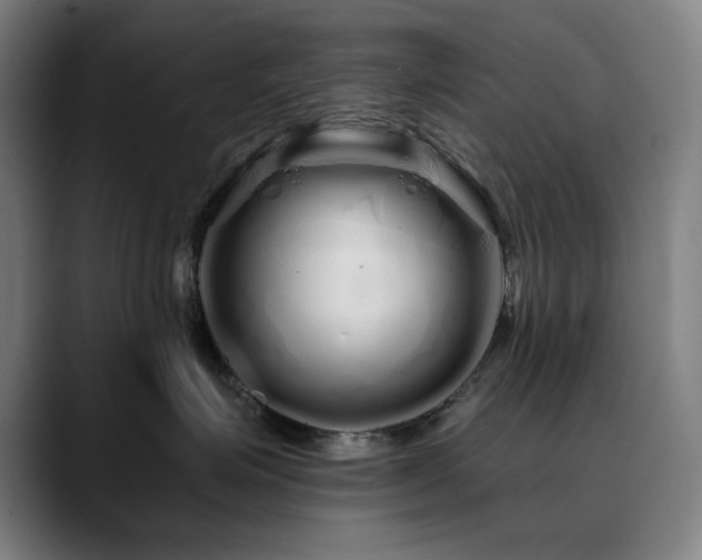 X0000090610623200707171418