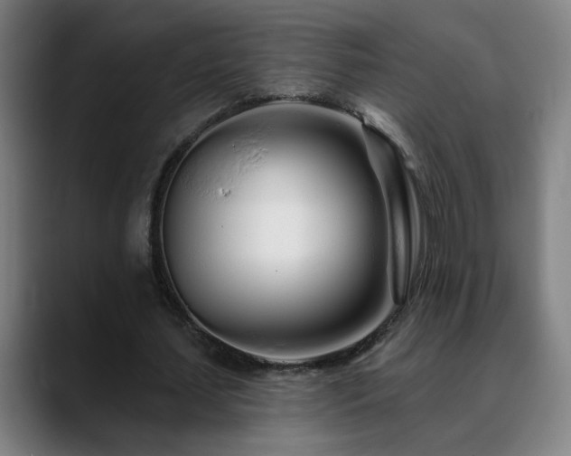 X0000090610627200707171417