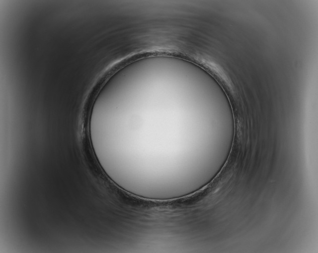 X0000090610628200707171417