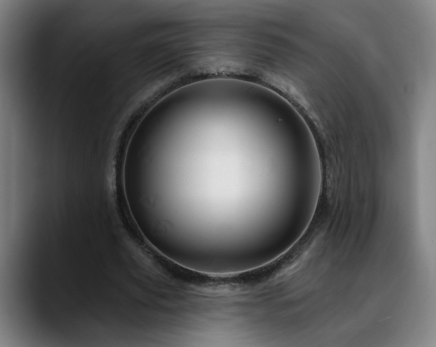 X0000090610629200707171417
