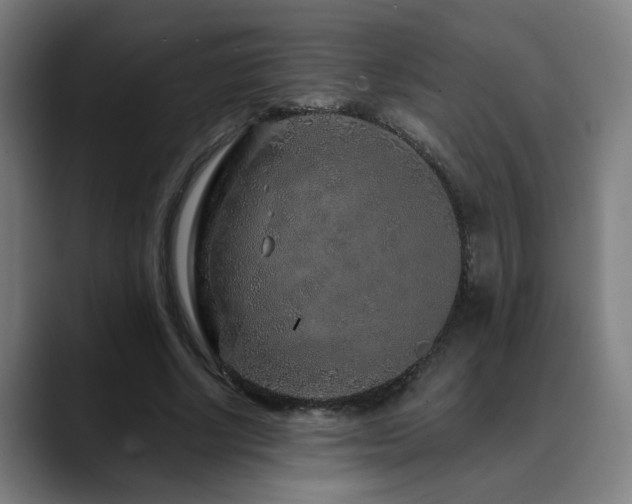 X0000090610634200707171417