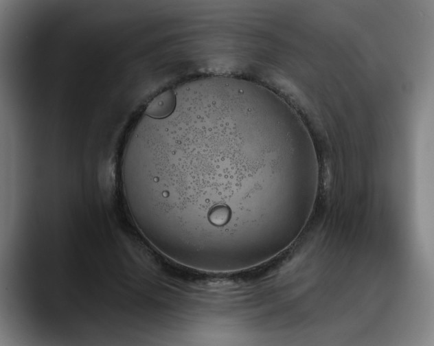 X0000090610636200707171417