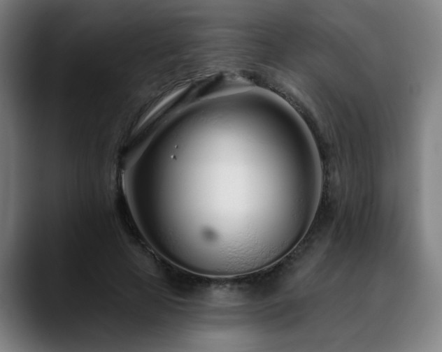 X0000090610641200707171417