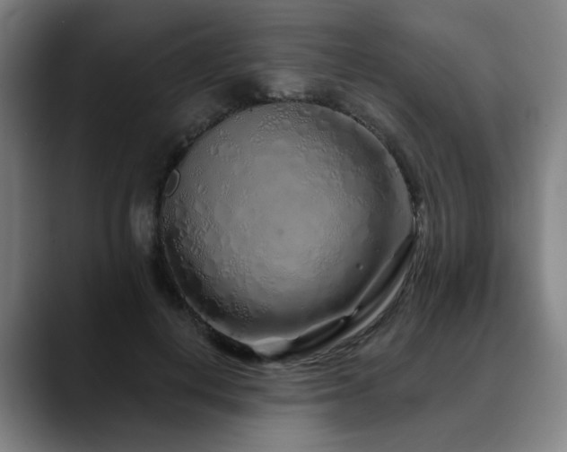 X0000090610648200707171417