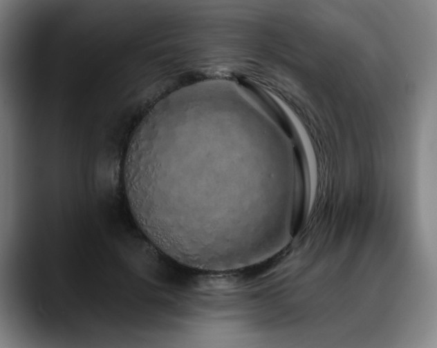 X0000090610652200707171417