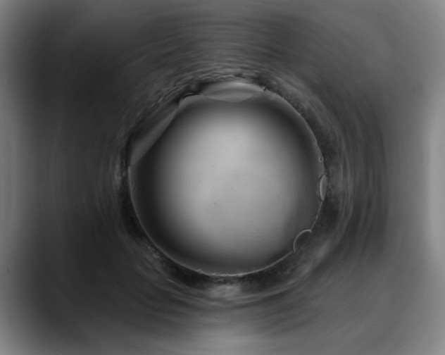 X0000090610653200707171418