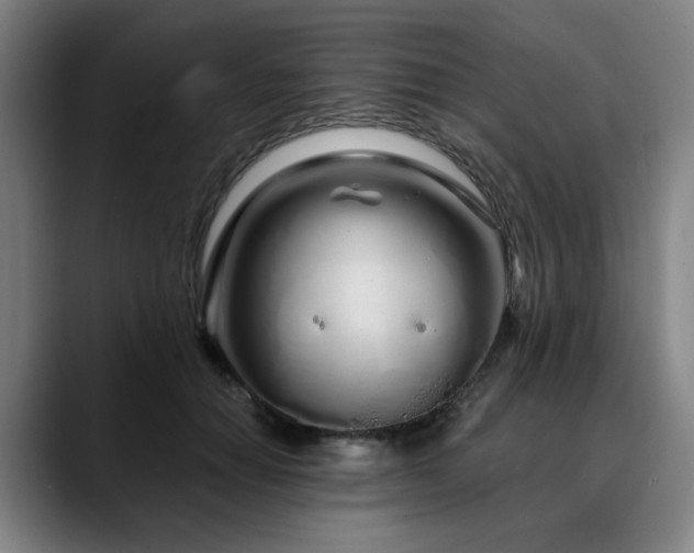 X0000090610654200707171418