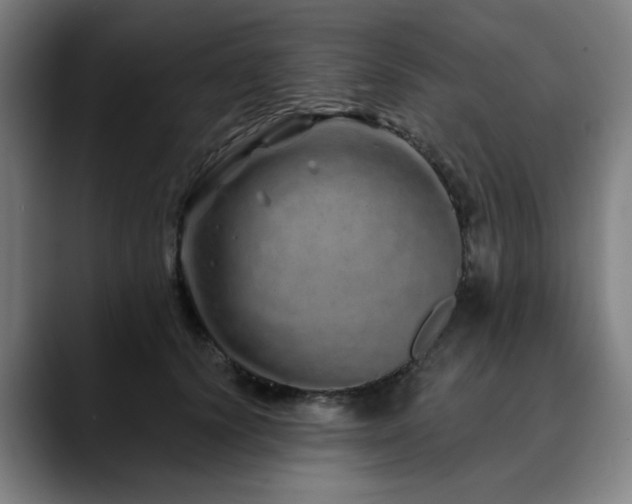 X0000090610656200707171418