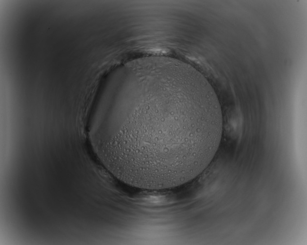 X0000090610658200707171418