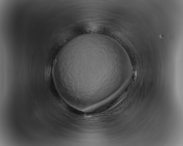 X0000090610660200707171418