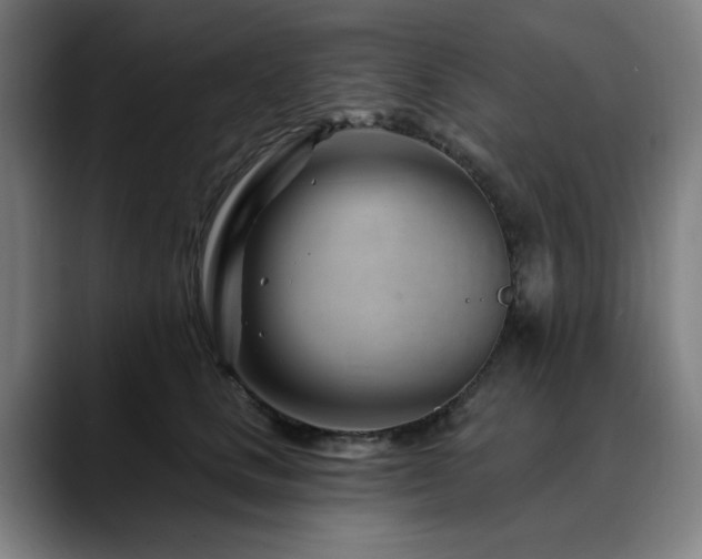 X0000090610661200707171418
