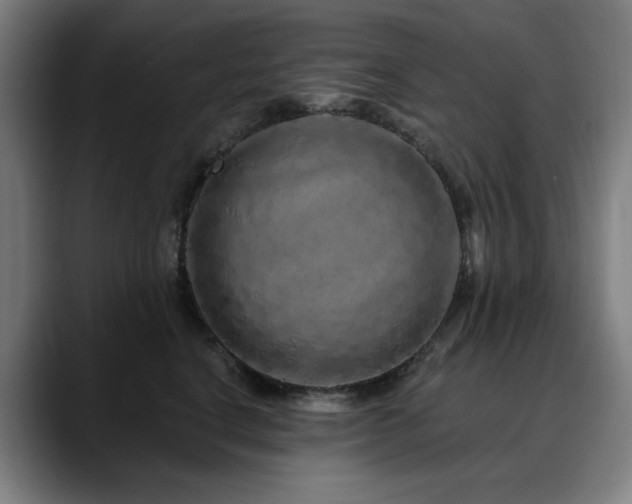 X0000090610664200707171418