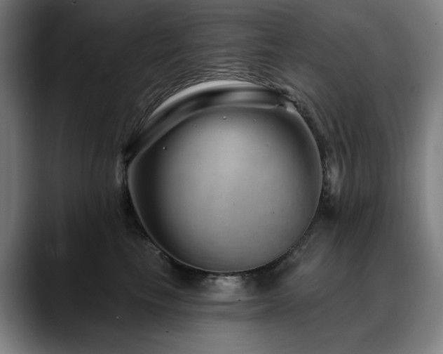 X0000090610665200707171418