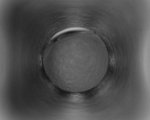 X0000090610666200707171418