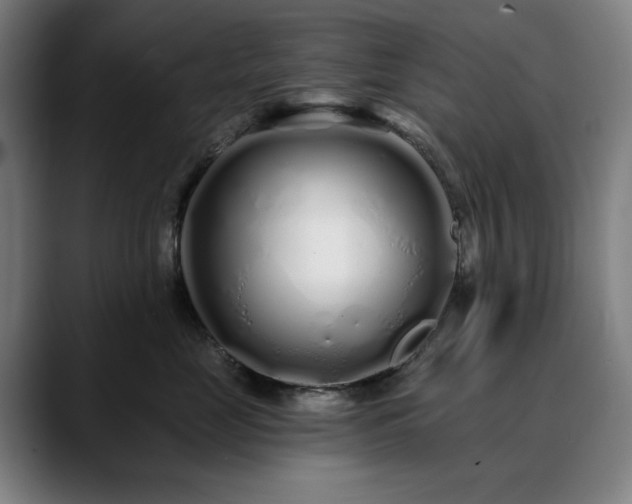 X0000090610669200707171418