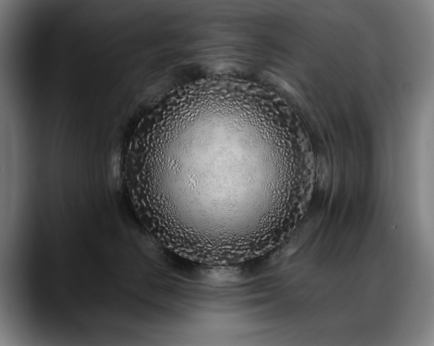 X0000090610670200707171418