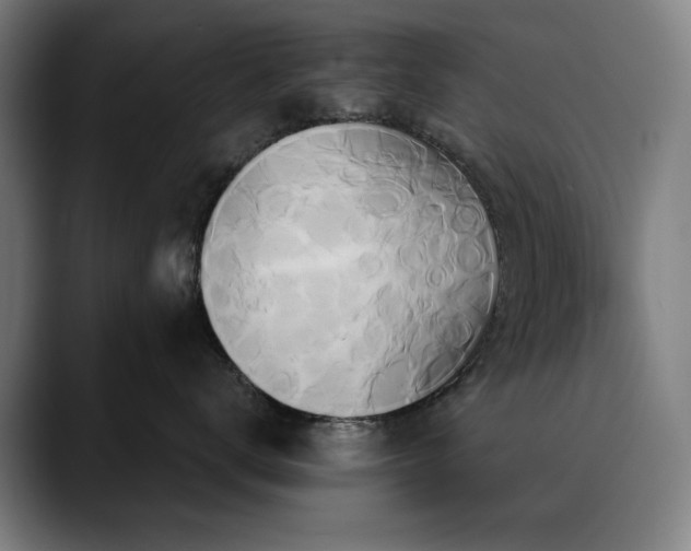 X0000090610672200707171418