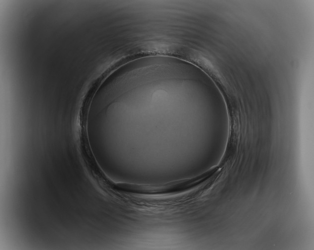 X0000090610674200707171417