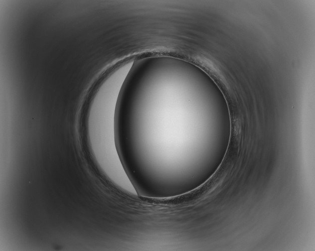 X0000090610676200707171417