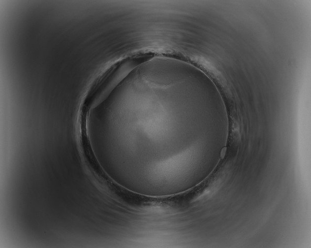 X0000090610678200707171417