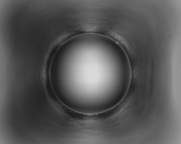 X0000090610682200707171417