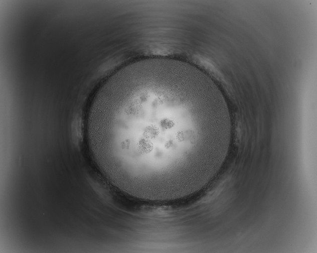 X0000090610683200707171417