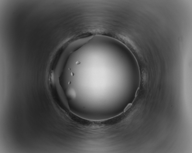 X0000090610684200707171417