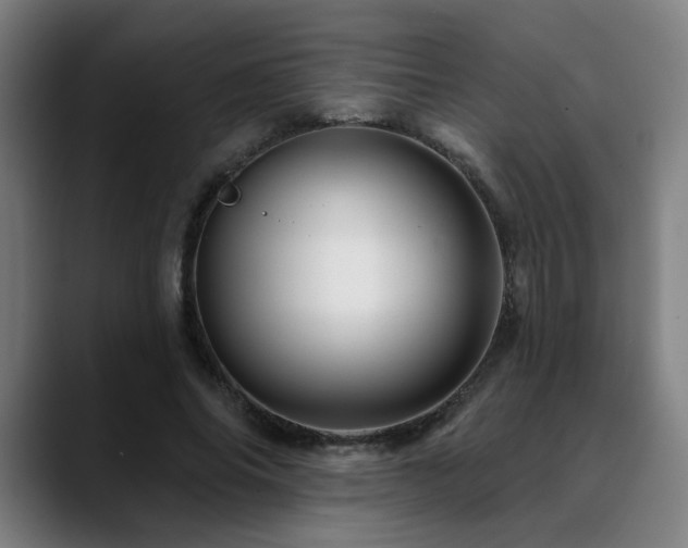 X0000090610686200707171417