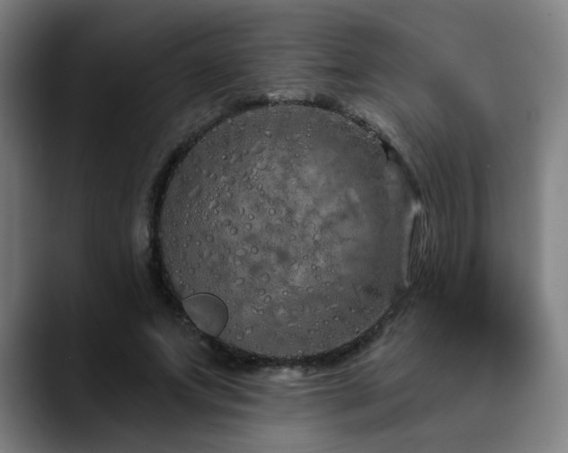 X0000090610687200707171417