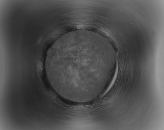 X0000090610691200707171417