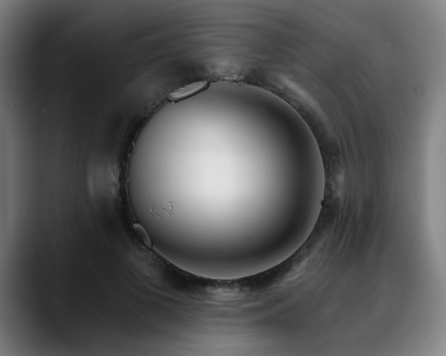 X0000090610693200707171417