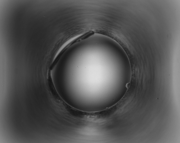 X0000090610694200707171417
