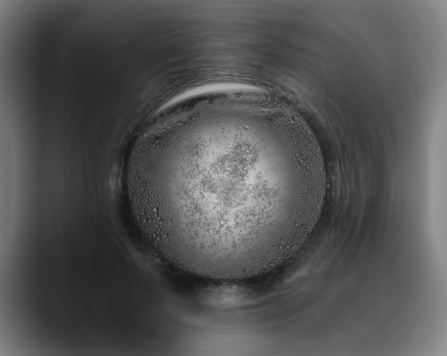 X0000090610695200707171417