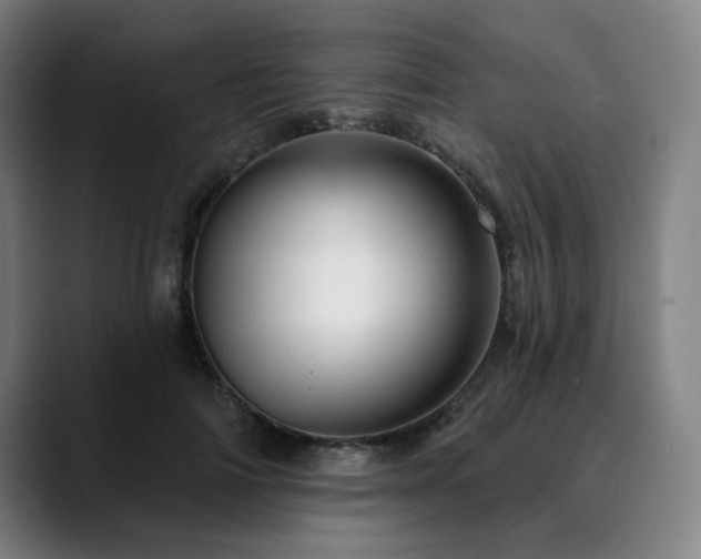 X0000090610698200707171417