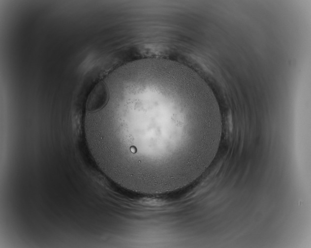 X0000090610699200707171417