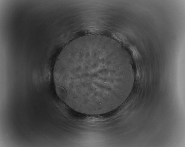 X0000090610703200707171417