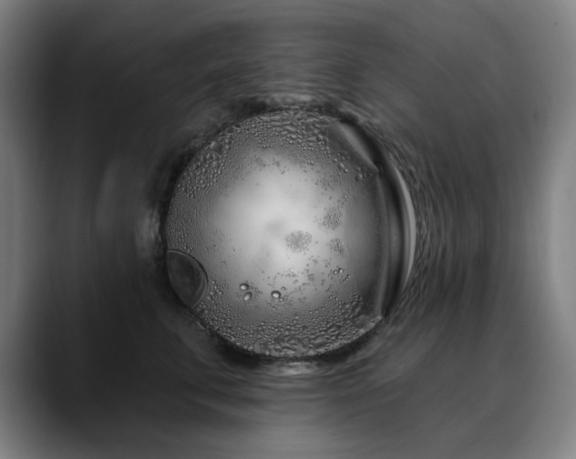 X0000090610711200707171417