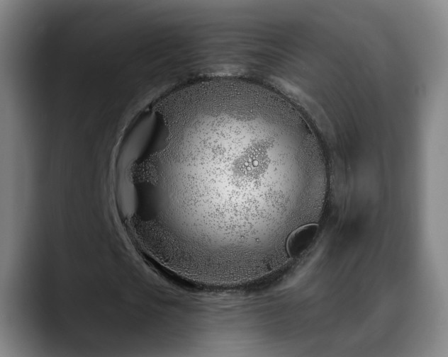 X0000090610721200707171416