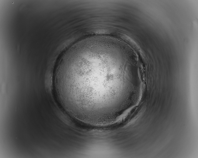 X0000090610725200707171416