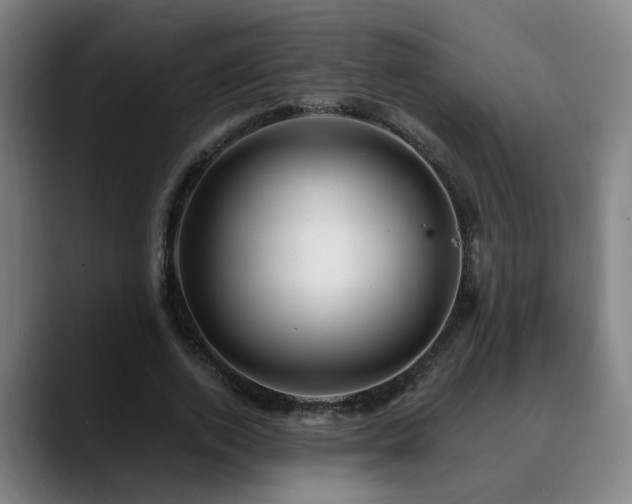 X0000090610728200707171416