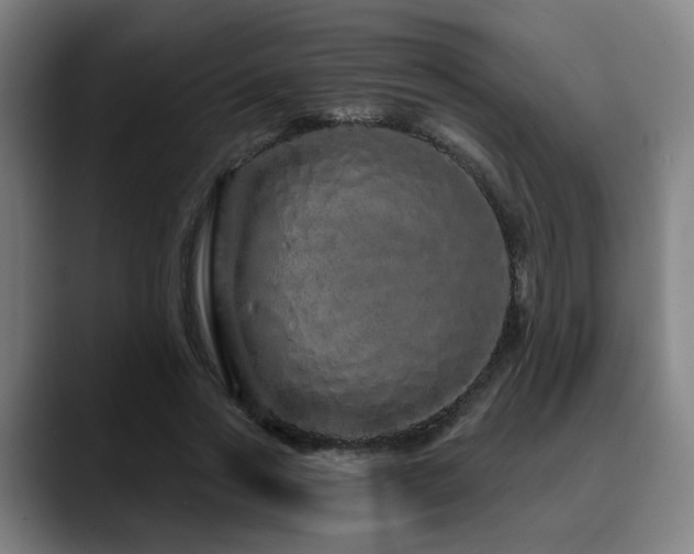 X0000090610733200707171416