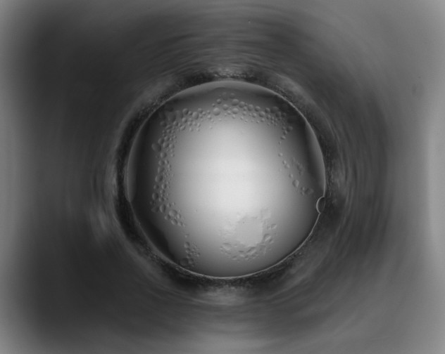 X0000090610734200707171416