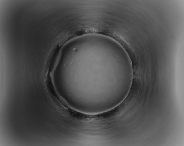 X0000090610738200707171416