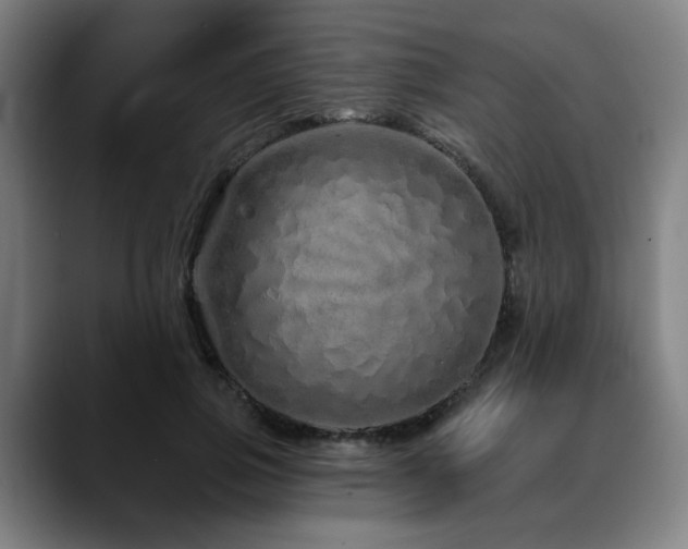 X0000090610741200707171416