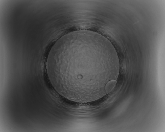 X0000090610746200707171416