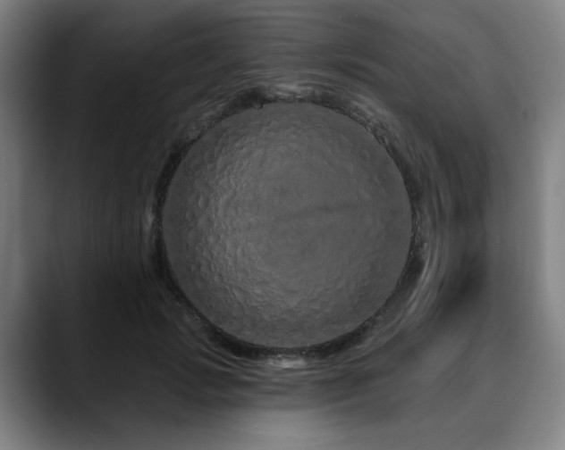 X0000090610749200707171416