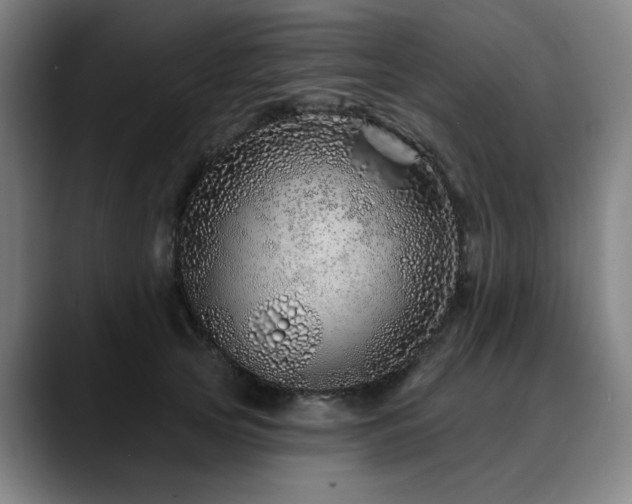 X0000090610753200707171416