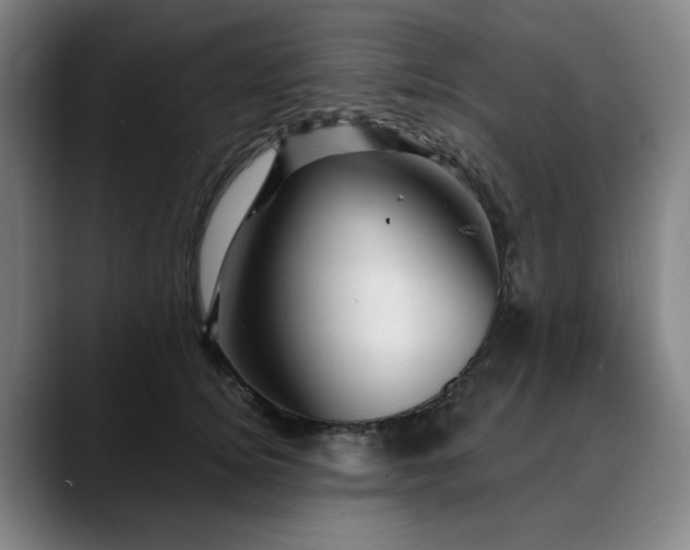 X0000090610756200707171416