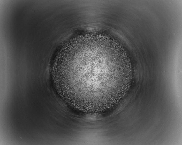 X0000090610757200707171416