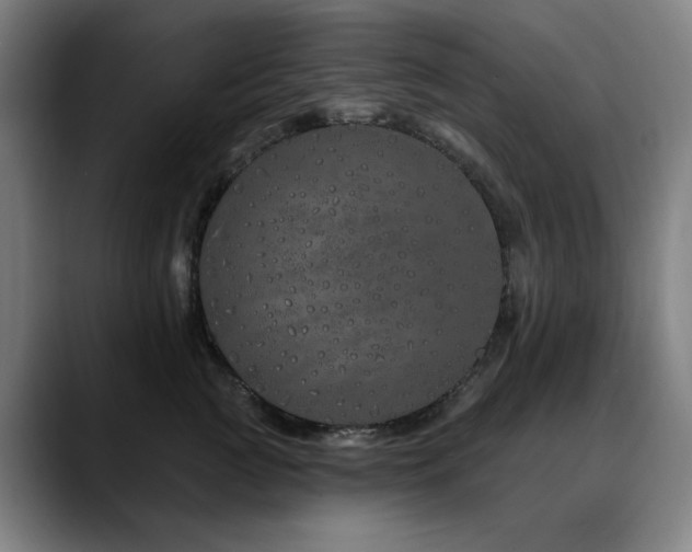 X0000090610761200707171417
